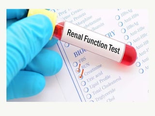 2. Renal Function Test
 