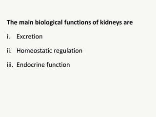 The main biological functions of kidneys are
i. Excretion
ii. Homeostatic regulation
iii. Endocrine function
 