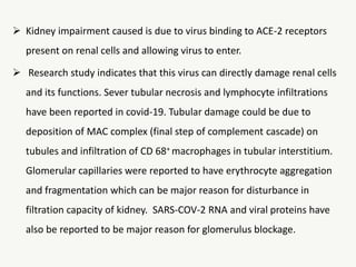  Kidney impairment caused is due to virus binding to ACE-2 receptors
present on renal cells and allowing virus to enter.
 Research study indicates that this virus can directly damage renal cells
and its functions. Sever tubular necrosis and lymphocyte infiltrations
have been reported in covid-19. Tubular damage could be due to
deposition of MAC complex (final step of complement cascade) on
tubules and infiltration of CD 68+ macrophages in tubular interstitium.
Glomerular capillaries were reported to have erythrocyte aggregation
and fragmentation which can be major reason for disturbance in
filtration capacity of kidney. SARS-COV-2 RNA and viral proteins have
also be reported to be major reason for glomerulus blockage.
 