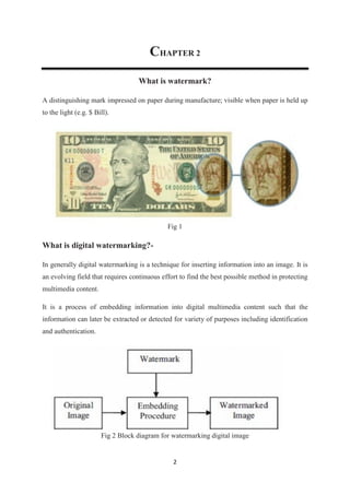 Report on Digital Watermarking Technology | PDF