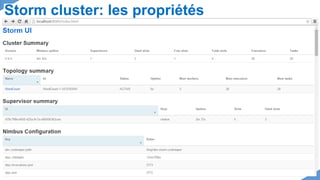 Storm cluster: les propriétés
 