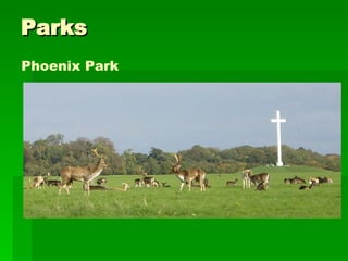 Parks Phoenix Park