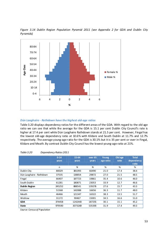 Dublin Demographics 2013
