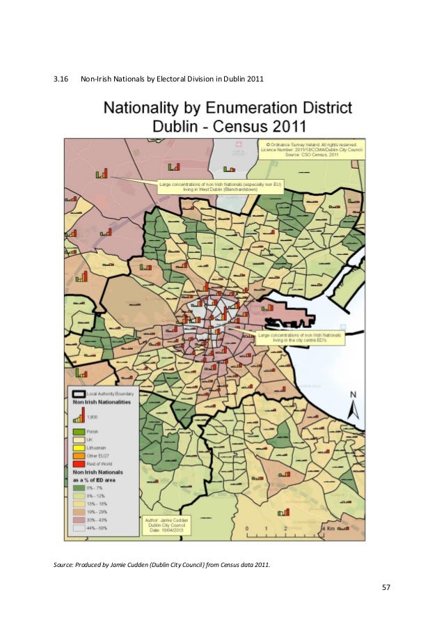 Dublin Demographics 2013
