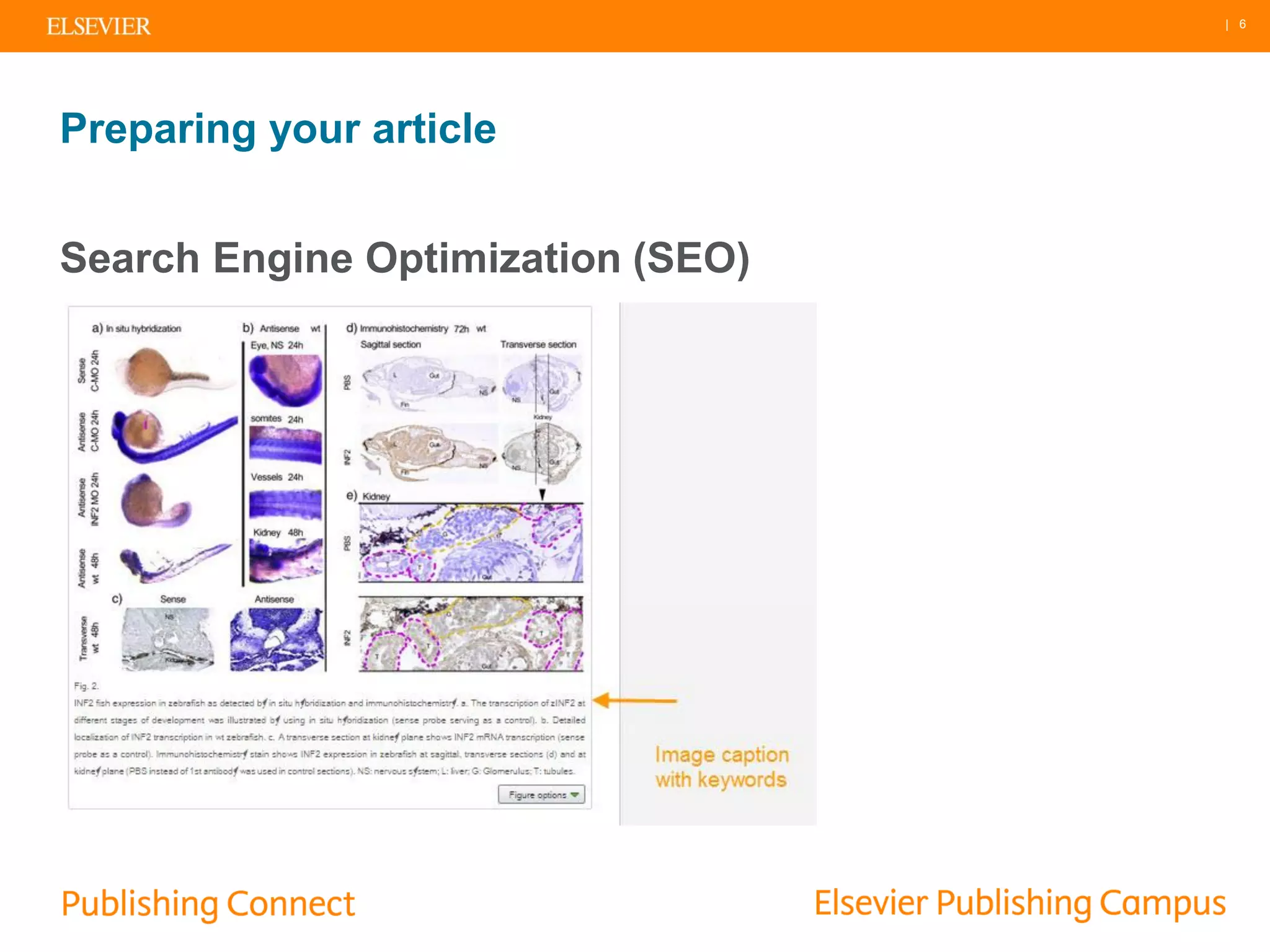 | 6
Preparing your article
Search Engine Optimization (SEO)
 