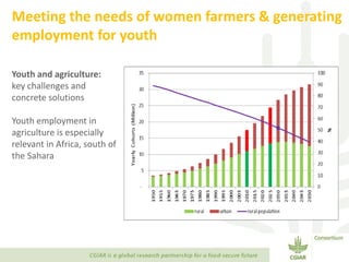 Transforming Agri-food Systems to Achieve Healthy Diets for All