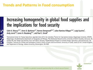 Transforming Agri-food Systems to Achieve Healthy Diets for All