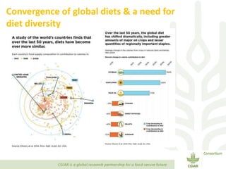 Transforming Agri-food Systems to Achieve Healthy Diets for All