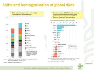 Transforming Agri-food Systems to Achieve Healthy Diets for All