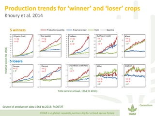 Transforming Agri-food Systems to Achieve Healthy Diets for All