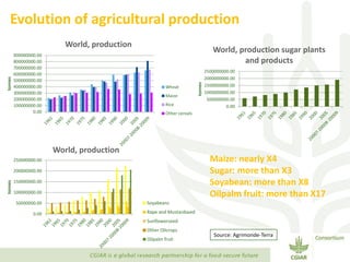 Transforming Agri-food Systems to Achieve Healthy Diets for All
