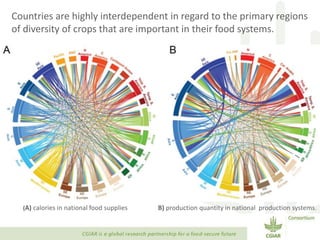 Transforming Agri-food Systems to Achieve Healthy Diets for All