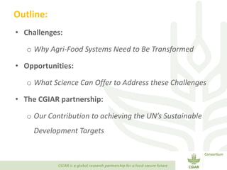 Transforming Agri-food Systems to Achieve Healthy Diets for All