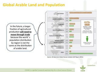 Transforming Agri-food Systems to Achieve Healthy Diets for All