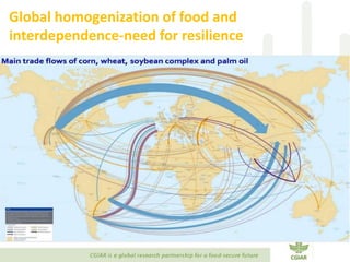 Transforming Agri-food Systems to Achieve Healthy Diets for All