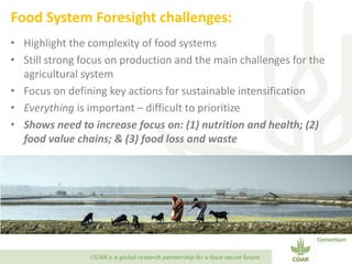 Transforming Agri-food Systems to Achieve Healthy Diets for All