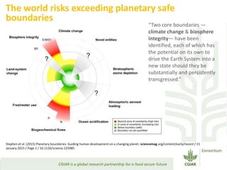 Transforming Agri-food Systems to Achieve Healthy Diets for All