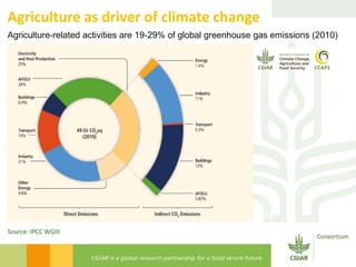 Transforming Agri-food Systems to Achieve Healthy Diets for All