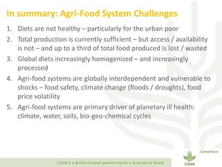 Transforming Agri-food Systems to Achieve Healthy Diets for All