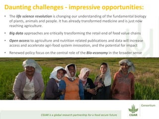 Transforming Agri-food Systems to Achieve Healthy Diets for All