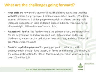 Transforming Agri-food Systems to Achieve Healthy Diets for All