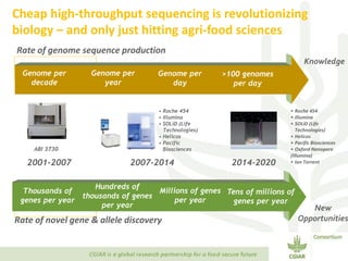 Transforming Agri-food Systems to Achieve Healthy Diets for All
