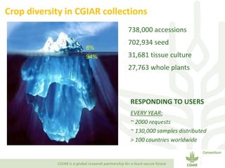 Transforming Agri-food Systems to Achieve Healthy Diets for All