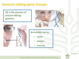 Transforming Agri-food Systems to Achieve Healthy Diets for All