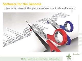 Transforming Agri-food Systems to Achieve Healthy Diets for All