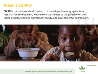 Transforming Agri-food Systems to Achieve Healthy Diets for All