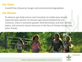 Transforming Agri-food Systems to Achieve Healthy Diets for All