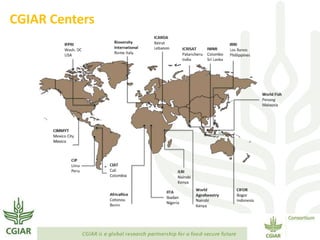 Transforming Agri-food Systems to Achieve Healthy Diets for All