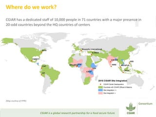 Transforming Agri-food Systems to Achieve Healthy Diets for All