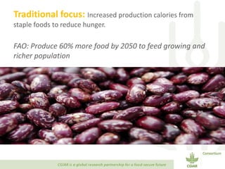Transforming Agri-food Systems to Achieve Healthy Diets for All