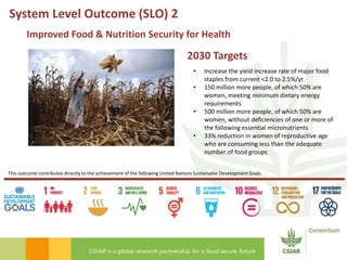 Transforming Agri-food Systems to Achieve Healthy Diets for All