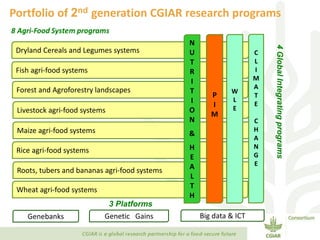 Transforming Agri-food Systems to Achieve Healthy Diets for All