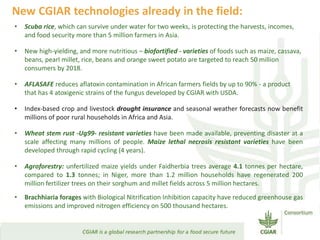 Transforming Agri-food Systems to Achieve Healthy Diets for All