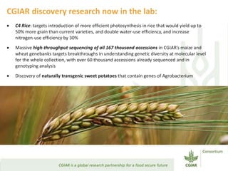 Transforming Agri-food Systems to Achieve Healthy Diets for All