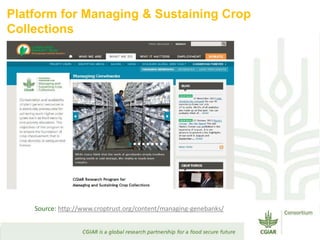 Transforming Agri-food Systems to Achieve Healthy Diets for All