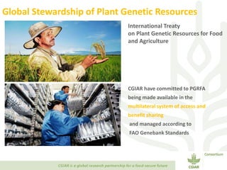 Transforming Agri-food Systems to Achieve Healthy Diets for All