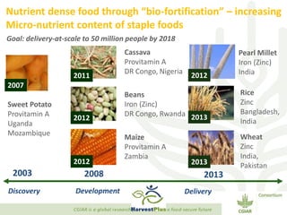 Transforming Agri-food Systems to Achieve Healthy Diets for All