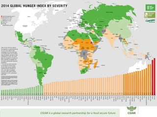 Transforming Agri-food Systems to Achieve Healthy Diets for All