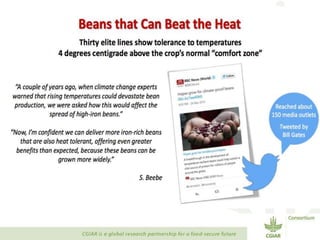 Transforming Agri-food Systems to Achieve Healthy Diets for All