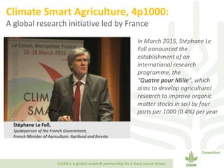 Transforming Agri-food Systems to Achieve Healthy Diets for All