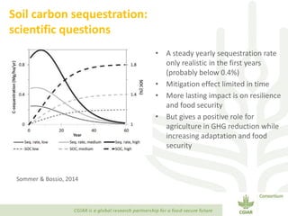 Transforming Agri-food Systems to Achieve Healthy Diets for All
