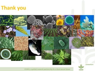 Transforming Agri-food Systems to Achieve Healthy Diets for All