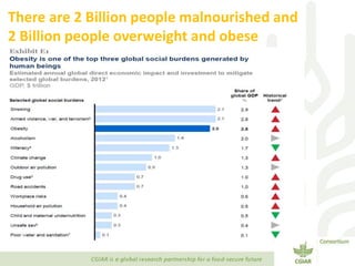 Transforming Agri-food Systems to Achieve Healthy Diets for All