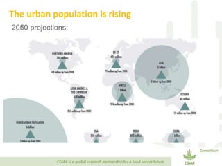 Transforming Agri-food Systems to Achieve Healthy Diets for All