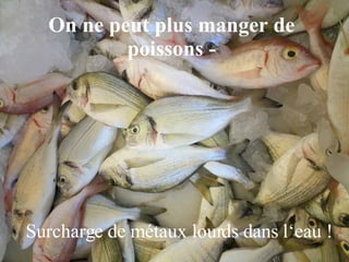 On ne peut plus manger de poissons - Surcharge de métaux lourds dans l‘eau ! 