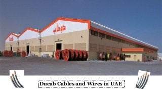 Ducab Cables and Wires in UAE
 